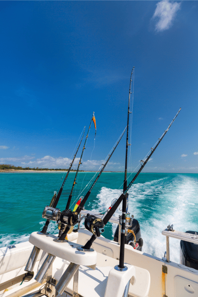 fish finders